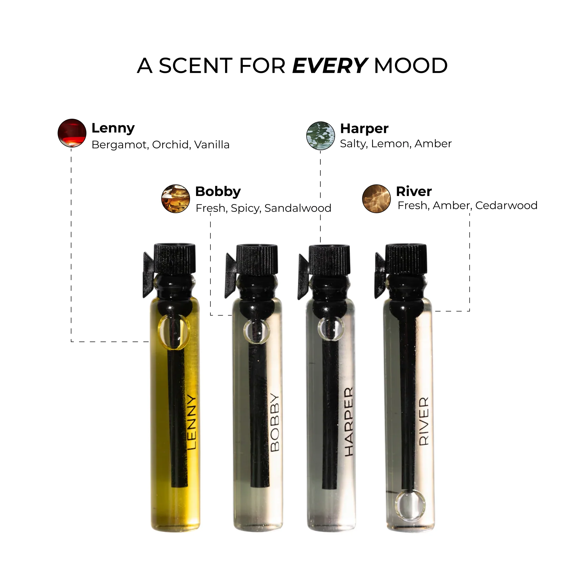 REVEAL PACK - Image 3